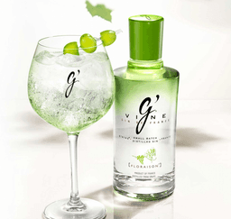 Immagine drink