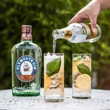 Immagine drink