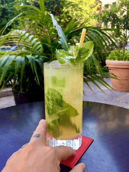 Immagine drink