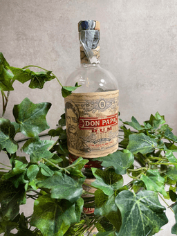 Immagine drink