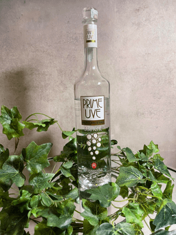 Immagine drink
