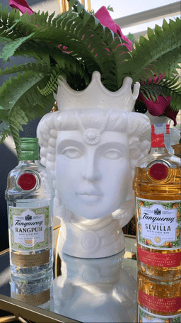 Immagine drink