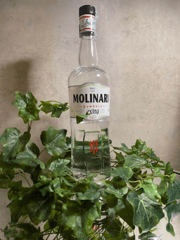 Immagine drink