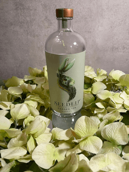 Immagine drink
