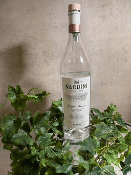 Immagine drink