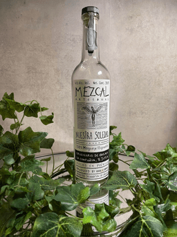 Immagine drink