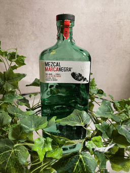 Immagine drink