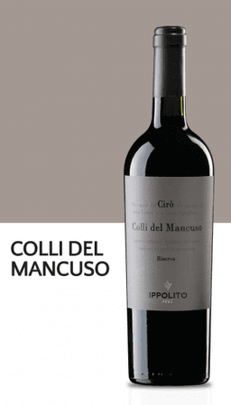 Immagine drink