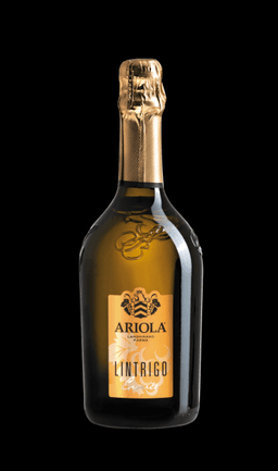 Immagine drink