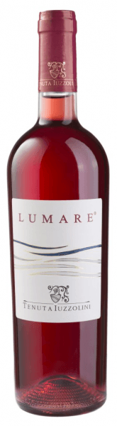 Immagine drink