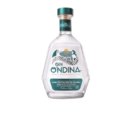 Immagine drink