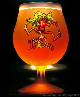 Immagine drink