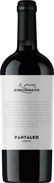 Immagine drink