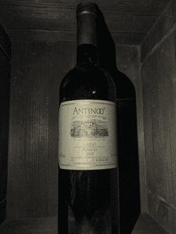 Immagine drink