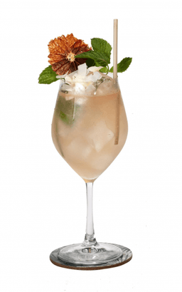 Immagine drink