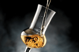 Immagine drink