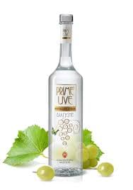 Immagine drink