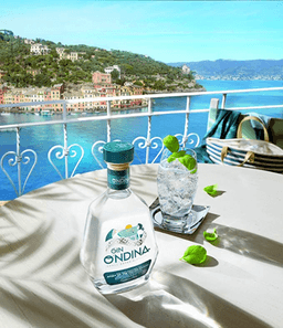 Immagine drink