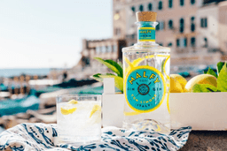 Immagine drink