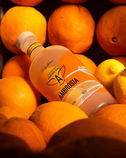 Immagine drink