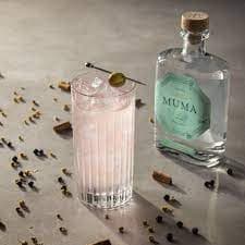 Immagine drink