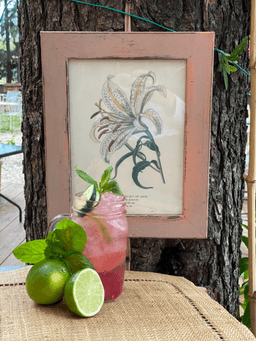 Immagine drink