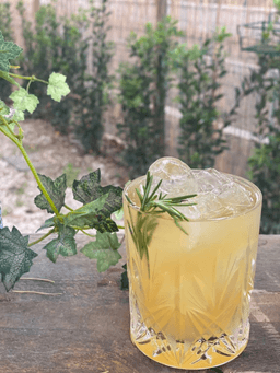Immagine drink