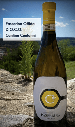 Immagine drink