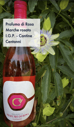 Immagine drink