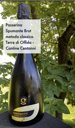 Immagine drink