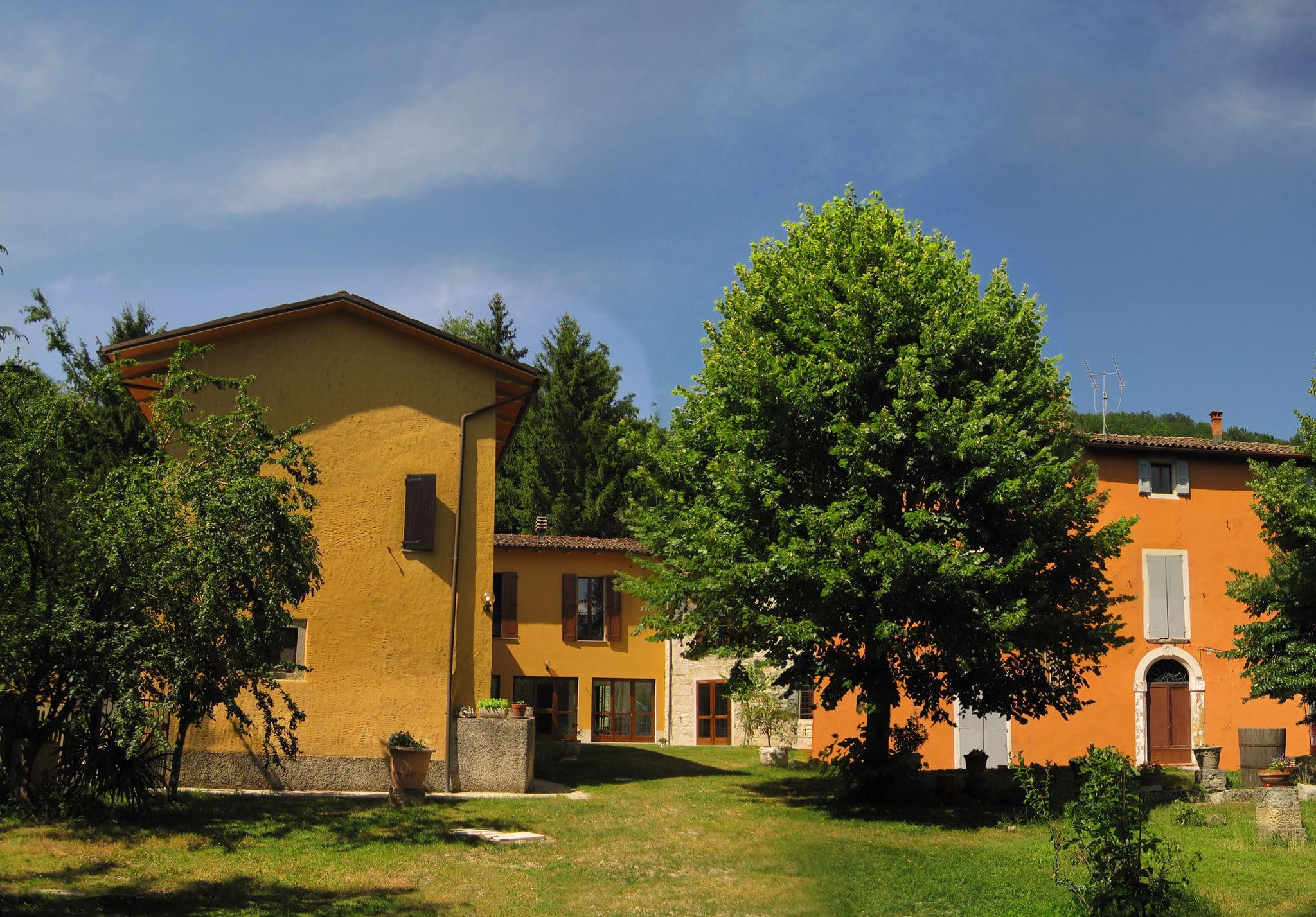 Immagine ristorante