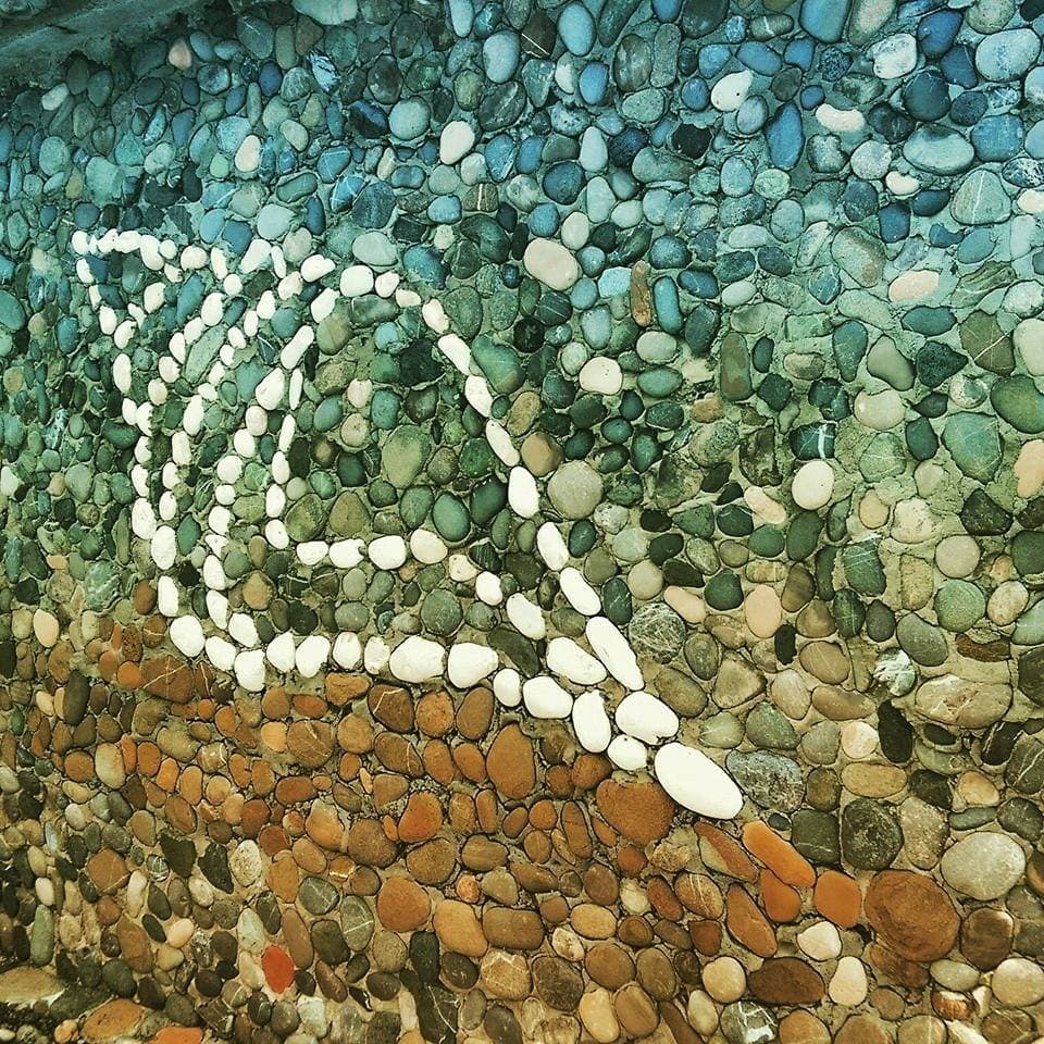 Immagine di copertina del ristorante La Conchiglia