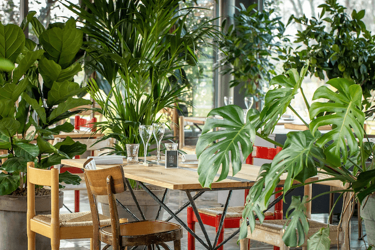 Cover ristorante