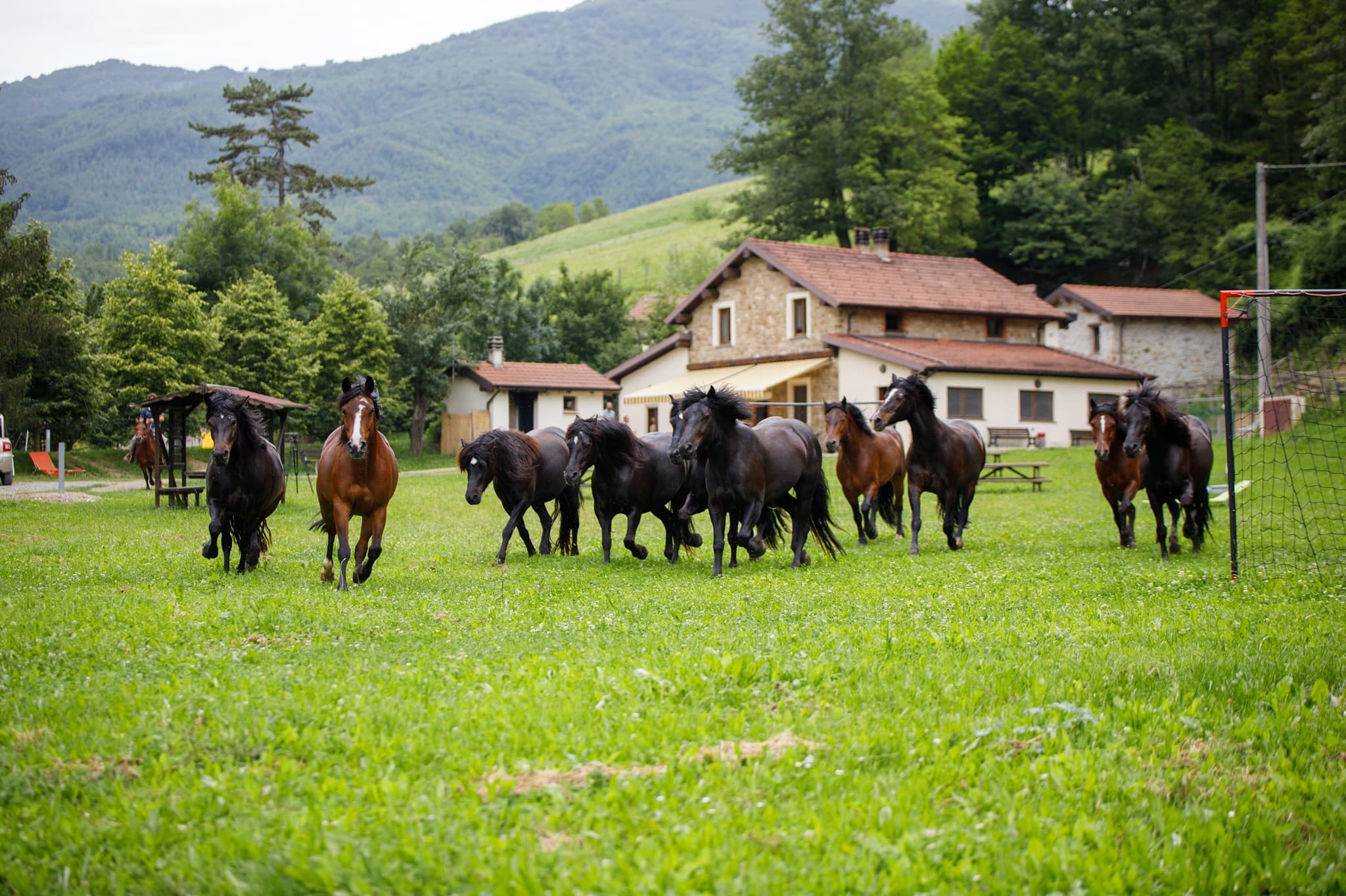 Agriturismo Le Carovane - Ristorante a Compiano
