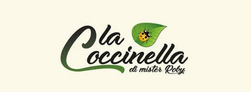 Immagine di copertina del ristorante La Coccinella