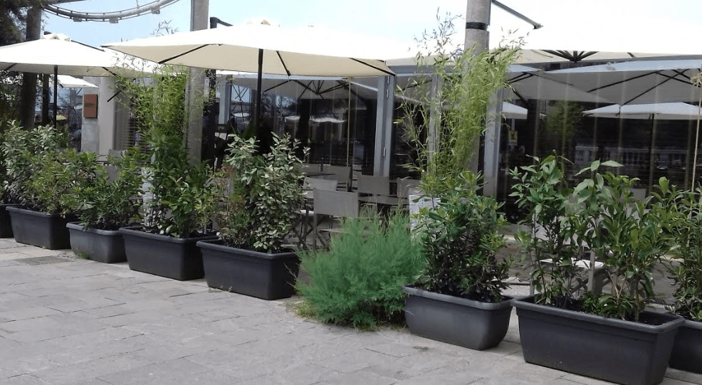 Cover ristorante