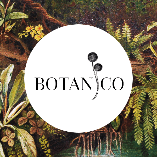 Immagine di copertina del ristorante BOTANICO 