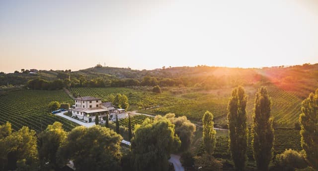 Immagine di copertina del ristorante Casale VerdeLuna