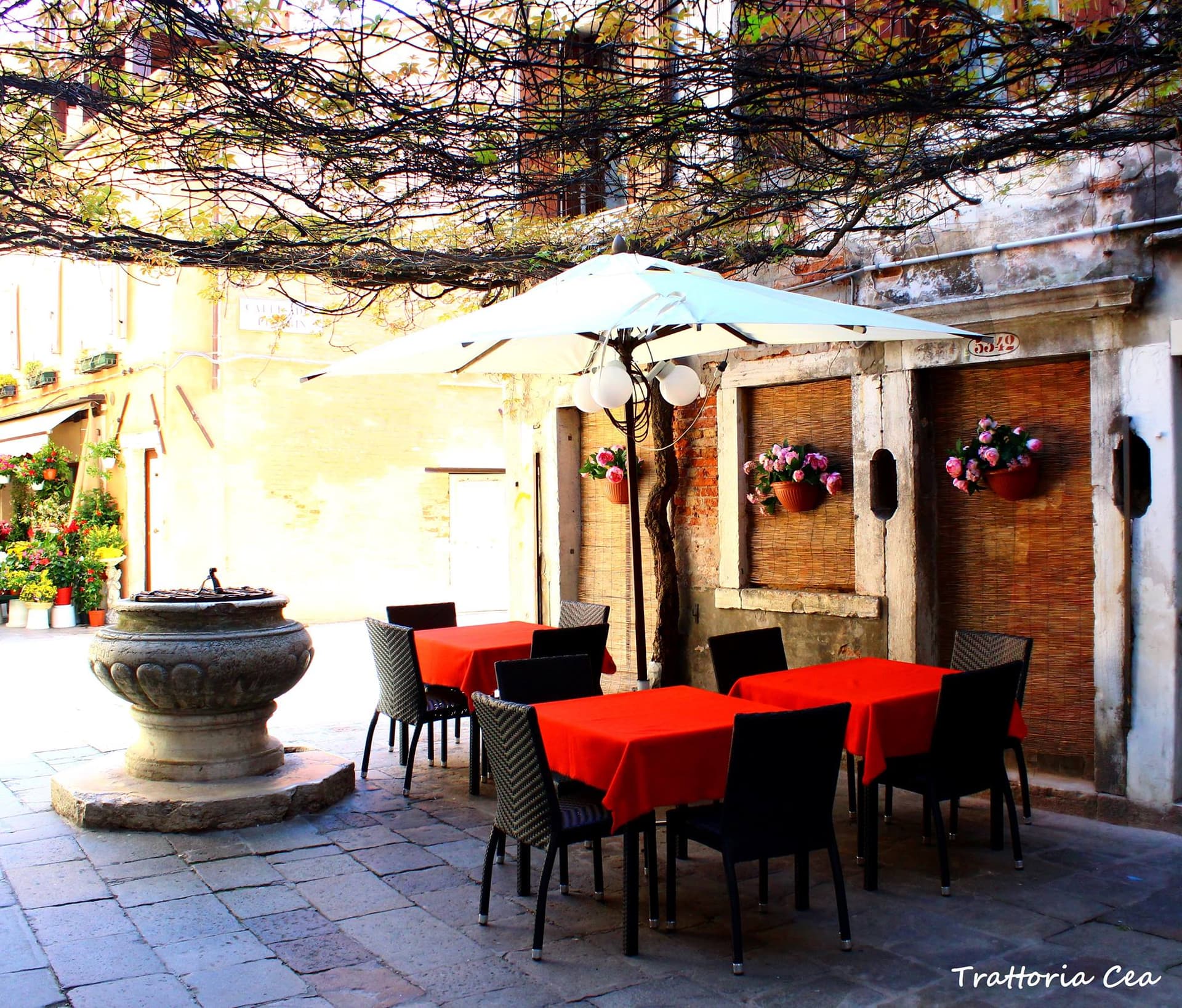 Trattoria Cea - Ristorante a Venezia