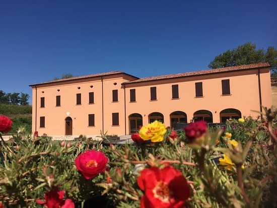 Immagine ristorante