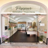 Pappus Gelateria Artigianale, foto 4