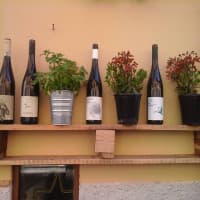 Amici Del Gusto, foto 2