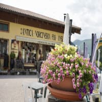 Antica Norcineria Fratelli Ansuini, foto 1