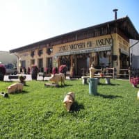 Antica Norcineria Fratelli Ansuini, foto 2
