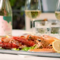 L'Estro del Pesce, foto 2