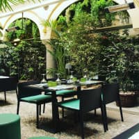 Botanico, foto 3