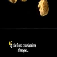 I Portoni di Zolì, foto 1