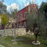 Le Bacche di Ginepro, foto 1