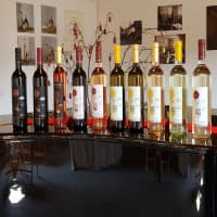 Cantina Foffani Azienda Vinicola, foto 1
