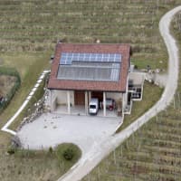 Azienda Agricola Pian delle Vette, foto 1